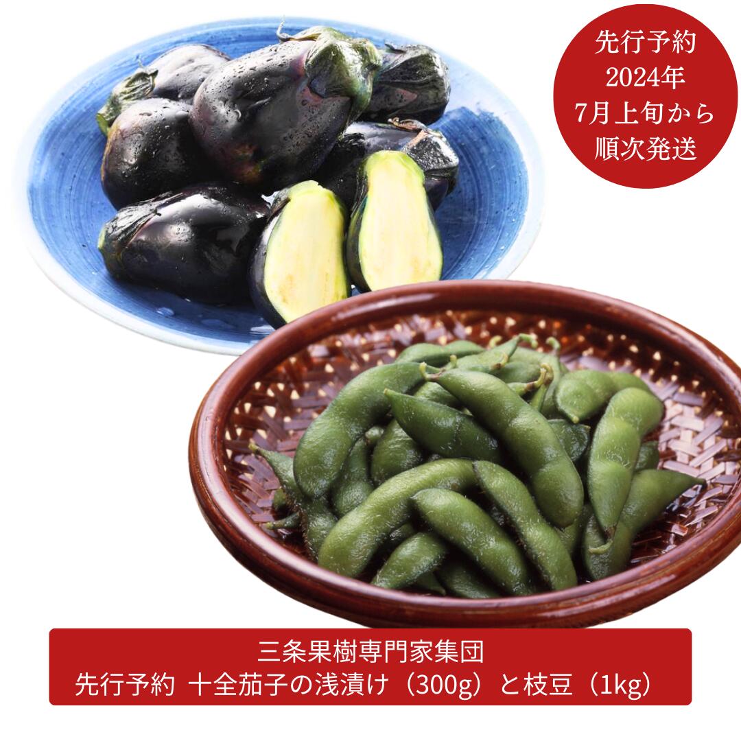 【ふるさと納税】先行予約 十全茄子の浅漬け（300g）と枝豆（1kg） [2024年発送分] 令和6年度 新潟県 三条市産 なす漬物 茄子漬 [三条果樹専門家集団]【010P048】