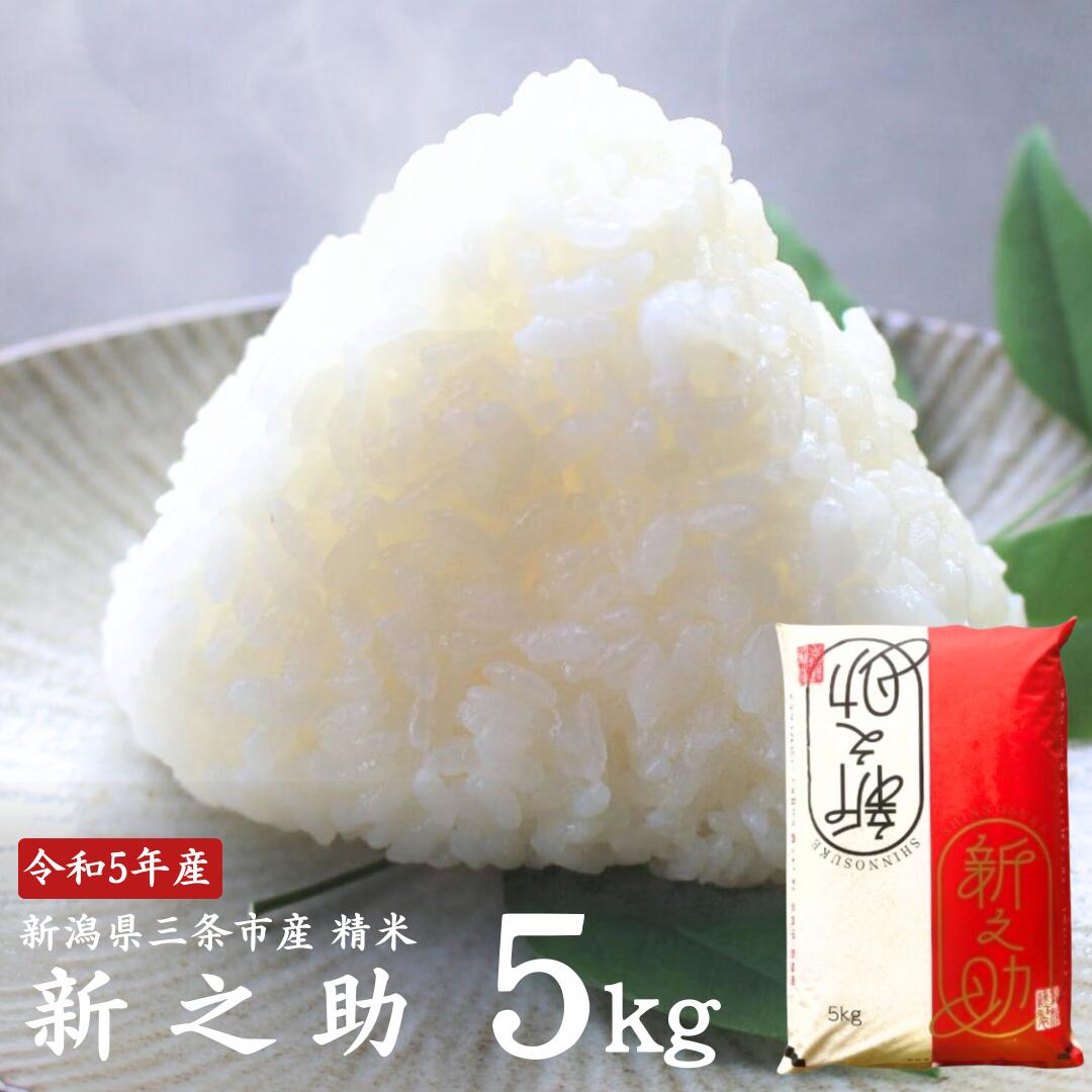 【ふるさと納税】新之助 5kg 新潟県三条市産 精米 令和5年産 [外山敏雄商店]【010S...