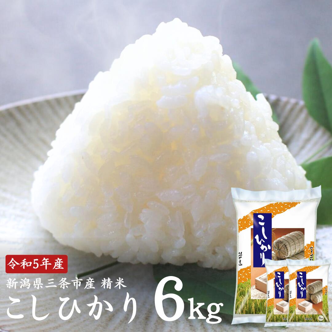 コシヒカリ 6kg(2kg×3袋) 新潟県三条市産 精米 こしひかり [外山敏雄商店]【010S360】