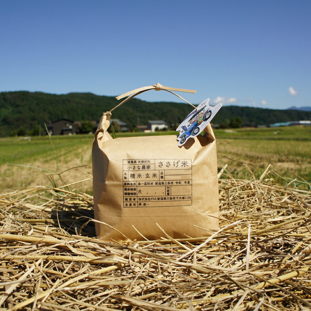 【ふるさと納税】減農薬有機肥料栽培 新潟県産こがねもち 3kg もち米 令和5年産 [小さな農家ささげ米]【010S439】