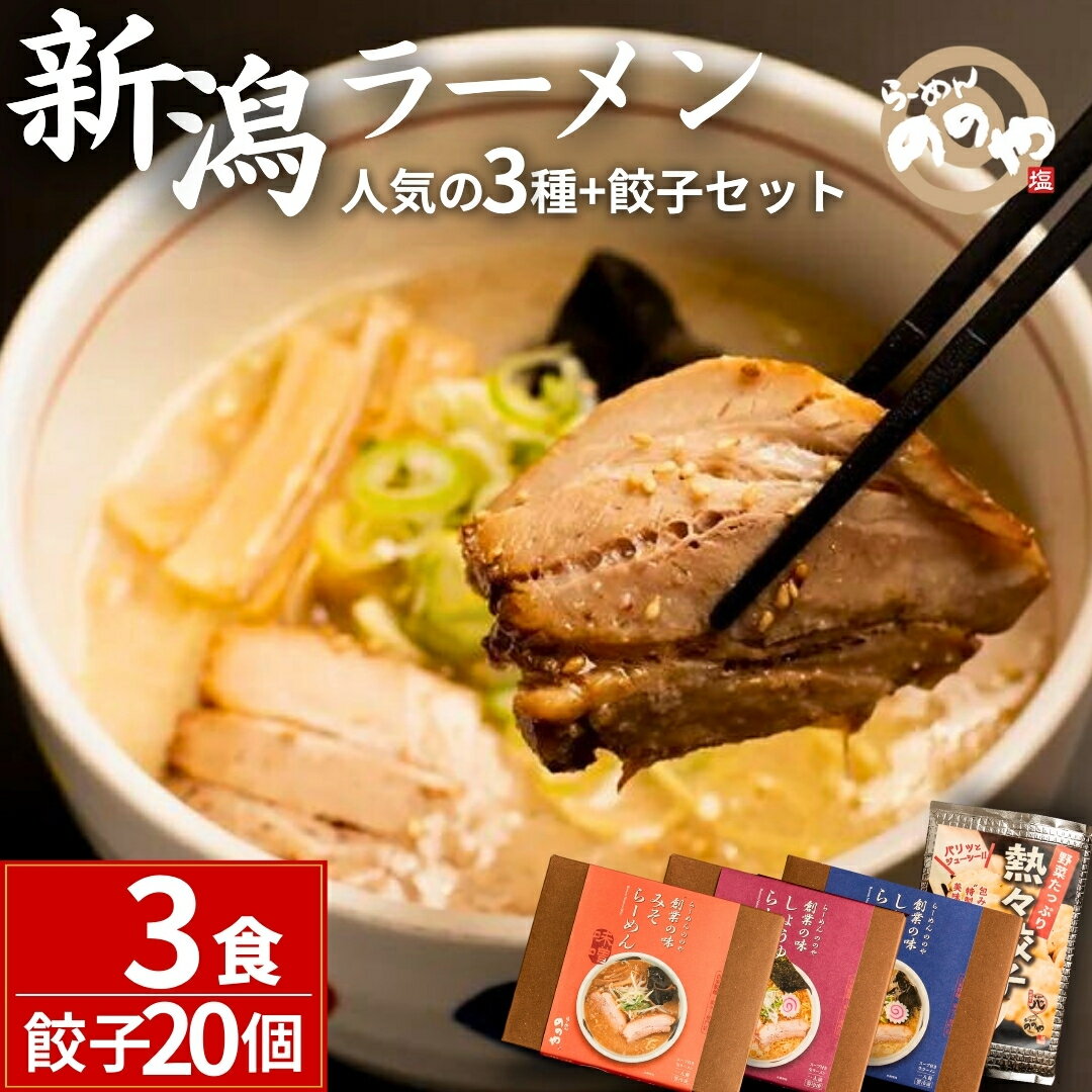 [らーめんののや] 冷凍ラーメン3食+餃子20個 （冷凍らーめん ぎょうざ 新潟ラーメン） 【010S001】