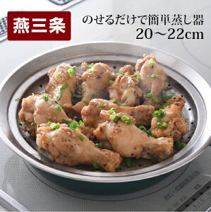 【ふるさと納税】のせるだけで簡単蒸し器20〜22cm キッチン用品 調理用品【010S088】