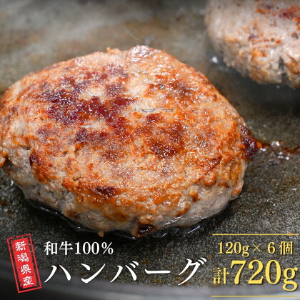 新潟県産和牛100％ハンバーグ 6コ入り ハンバーグ 挽肉ステーキ つなぎ無し 簡単調理 牛肉 肉 和牛 惣菜 ギフト お中元 お歳暮 【018S052】