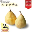 返礼品内容 容量約2kg（4〜7玉入) 申込期日数量限定のため、予定数量に達し次第受付終了 発送期日11月下旬（解禁日）から順次発送 取扱事業者渡辺果樹園 ・ふるさと納税よくある質問はこちら ・寄附申込みのキャンセル、返礼品の変更・返品はできません。あらかじめご了承ください。 寄附金の使い道について ■教育 皆様からいただいた寄附金は主にさんじょう一番星育成事業に使わせていただきます。 ■子育て 皆様からいただいた寄附金は主に地域の子どもたちが自由な時間に安心して遊べる場である児童館や、放課後帰宅しても仕事などで保護者が不在の小学1年生から4年生までの児童をお預かりする「児童クラブ」の運営に使わせていただきます。 ■地場産業 皆様からいただいた寄附金は主に燕三条地域の産業の活性化を担っている(公財)燕三条地場産業振興センター運営支援に使わせていただきます。 ■農業 皆様からいただいた寄附金は主に地産地消推進のために使わせていただきます。 ■福祉 皆様からいただいた寄附金は主に障がい者支援のために使わせていただきます。 ■まちづくり 皆様からいただいた寄附金は主に中心市街地の活性化を推進するために使わせていただきます。 ■その他 皆様からいただいた寄附金をどの事業に活用するかは市長にお任せください。 新潟県三条市について ■ものづくり 鍛冶の伝統を受け継ぎつつ、お隣の燕市とともに燕三条として全国からも認知されている「ものづくりのまち」三条市には、打刃物をはじめ、金物、作業工具、木工製品のほか、キッチン用品、大工道具、測定器具、園芸用品、アウトドア用品、リビング用品、住設機器などの金属加工を中心に多様な加工技術が集積しています。 ■アウトドア、キャンプのまち 三条市内にはキャンプ場も各所にあり、ものづくりで培われた技術がアウトドア用品、キャンプ用品にも活かされています。アウトドア用品やキャンプ用品を製作するメーカーが本社を置き、アウトドアの聖地としても知られています。上越新幹線の燕三条駅は首都圏からもアクセスがよく、県外からのキャンパーでにぎわっています。 ■フルーツ、果物 信濃川の豊かな水と肥沃な土壌に恵まれた、農産物の多品目産地でもあります。米どころ新潟を代表する米はもとより、果物、野菜も大変美味しいところです。これらを利用した地酒やお菓子、特産品も数多くあります。【ふるさと納税】先行予約 ル レクチェ 自家用 2kg （4〜7玉) [11月下旬から発送予定] 西洋梨 ル レクチエ 洋梨 化粧箱 洋ナシ ル・レクチェ [渡辺果樹園] 【010S240】 【2024年産先行予約・自家用】 貴重な西洋梨ルレクチェをご自宅で 果実の表面に、多少のすり傷(果肉まで及んでいないもの)、サビ果・変形等がある商品です。 外観上、多少のすり傷やサビ果・変形等がありますが、味は変わりません。 皮をむけば、味は贈答用と変わりがなくお楽しみいただけます。 傷等の程度は、比較的軽いものまでにしているので、気を使わない方にはこちらで充分と言う方も大勢いらっしゃいます。 それゆえに当園では化粧箱に入れております。 ♪成熟期にモーツァルトノピアノ協奏曲23番・25番を聴かせています♪