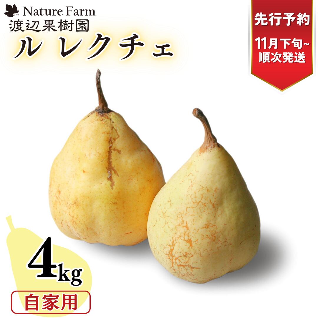 【ふるさと納税】先行予約 ル レクチェ 自家用 4kg（10〜14玉）[11月下旬から発送予定] 西洋梨 ル レ...