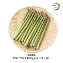 15位! 口コミ数「0件」評価「0」アスパラガス レギュラー 約1kg 令和6年度 [飯塚農園] 【011S019】