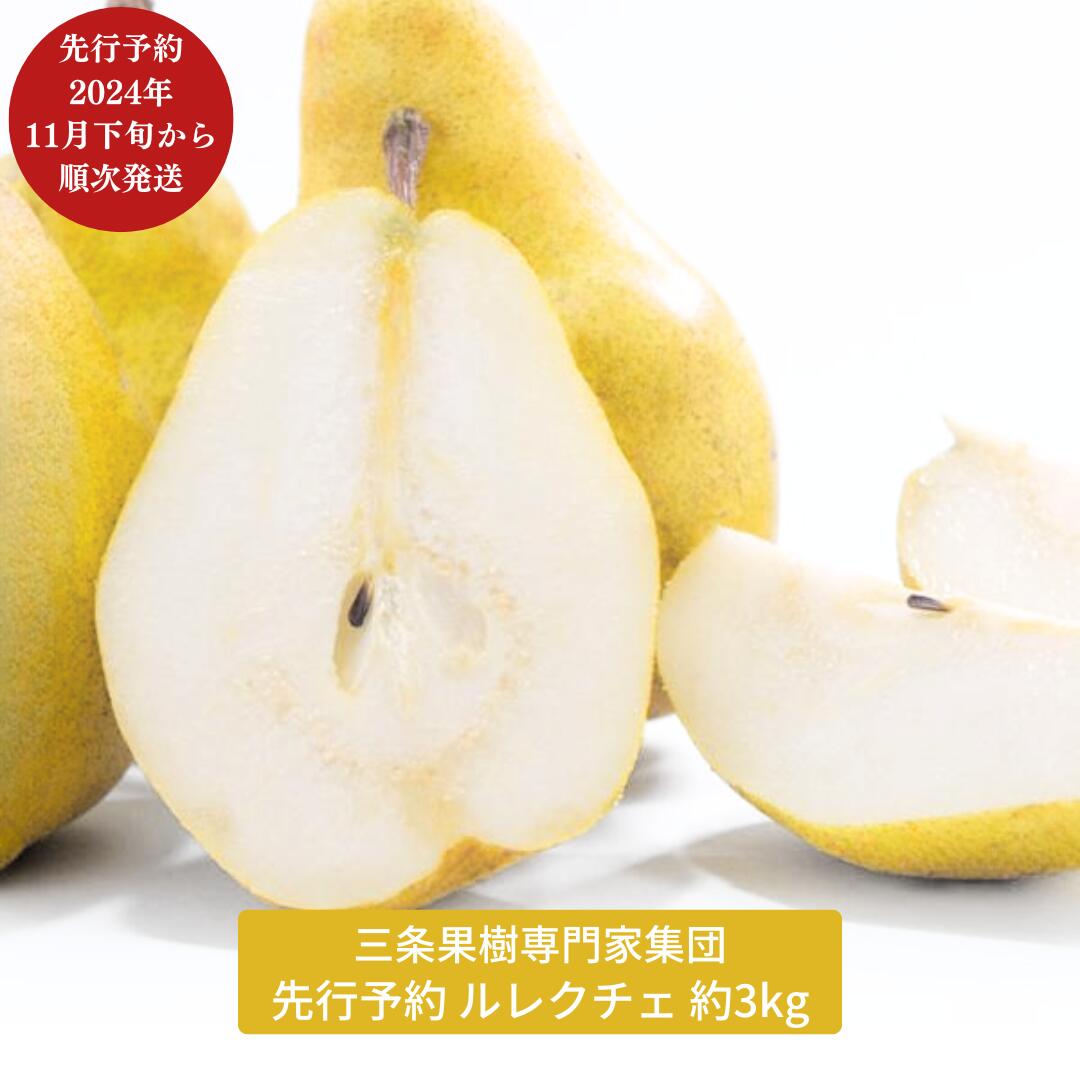 【ふるさと納税】先行予約 ル レクチェ 約3kg (5～11玉) [11月下旬から発送予定] 洋梨 JGAP認証農場 新潟県 三条市産 ル レクチエ 期間限定 冬限定 幻の西洋梨 フルーツ 秋 旬 洋梨 ル・レクチェ [三条果樹専門家集団]【016P026】