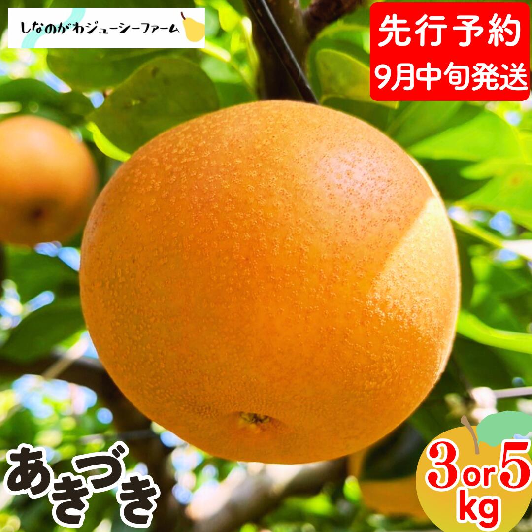 【ふるさと納税】 先行予約 和梨 あきづき 約3kg・約5kg [9月中旬から発送予定] 選べる数量 新潟県 三条市産 梨 [しなのがわジューシーファーム]【010S486】のサムネイル