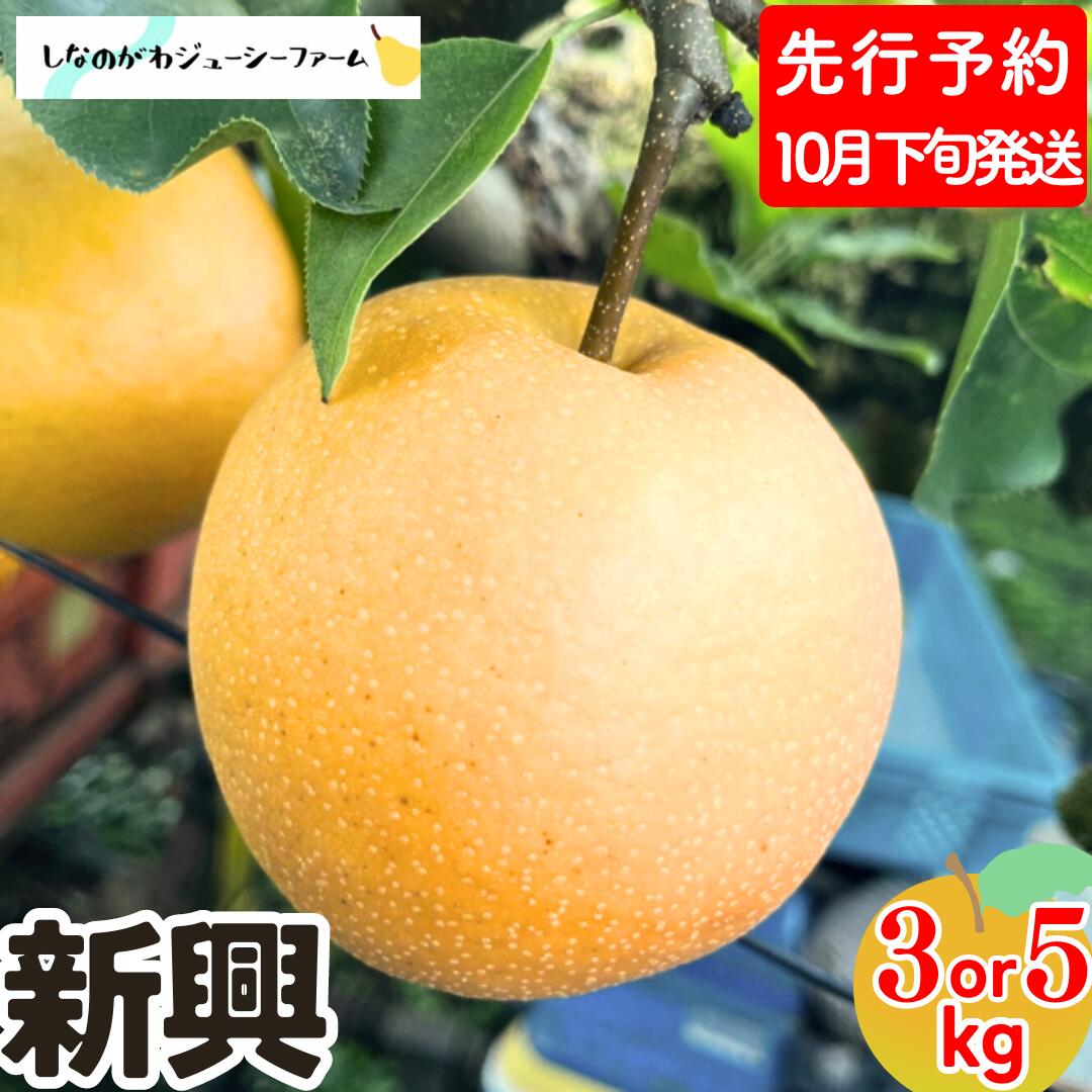 【ふるさと納税】 先行予約 和梨 新興 約3kg・約5kg [10月下旬から発送予定] 選べる数量 新潟県 三条市産 梨 [しなのがわジューシーファーム]【010S492】のサムネイル