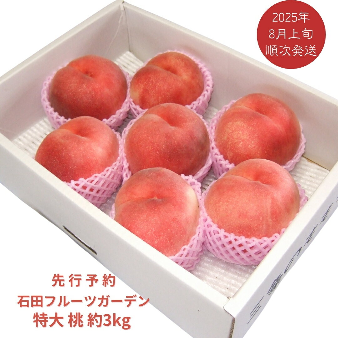 【ふるさと納税】先行予約 特大桃 3kg (7〜8個) [2025年発送分] 令和7年産 白桃 なつっこ 川中島白桃 新潟フルーツ 新潟県産桃 贈答用 ..