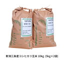 【ふるさと納税】先行予約 新潟県三条市産 コシヒカリ 玄米 10kg (5kg×2袋) 令和7年産 コシヒカリ こしひかり 新潟県産 玄米 【026S047】