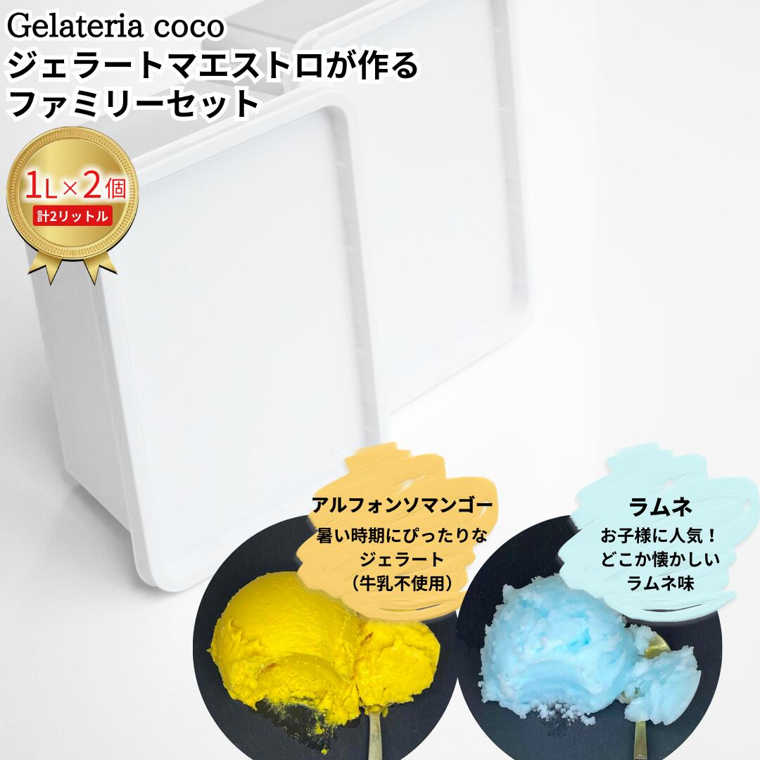 ジェラートマエストロが作るファミリーセット 1L×2 合計2L[アルフォンソマンゴー・ラムネ] ジェラート アイス 大容量 ファミリーパック 添加物不使用 [Gelateria coco]