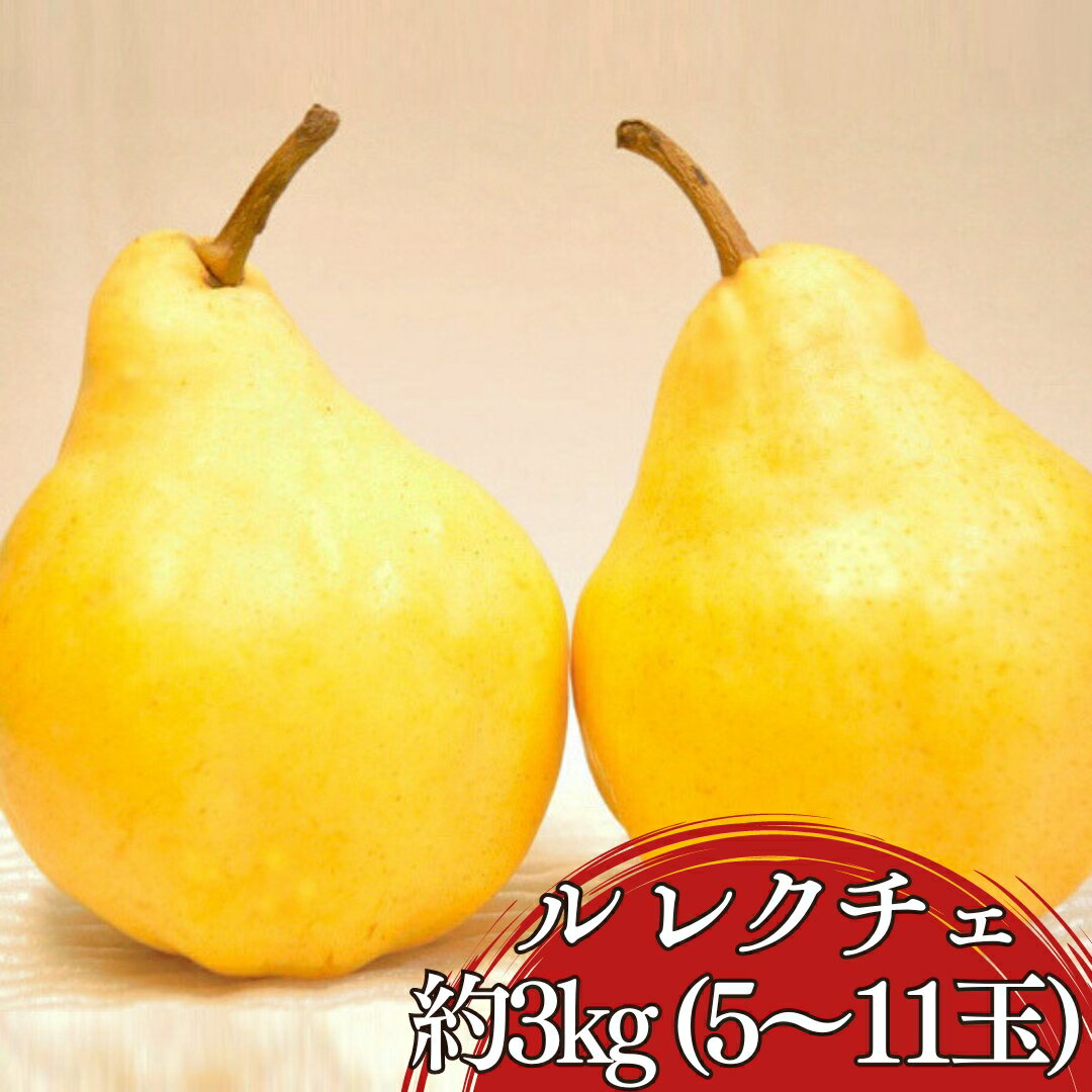 【ふるさと納税】先行予約 ル レクチェ 約3kg (5～11個) [11月下旬から発送予定] JGAP認証農場 新潟県 三条市産 ル レクチエ 期間限定 冬限定 幻の西洋梨 フルーツ 秋 旬 洋梨 ル・レクチェ [三条果樹専門家集団]【016P026】のサムネイル