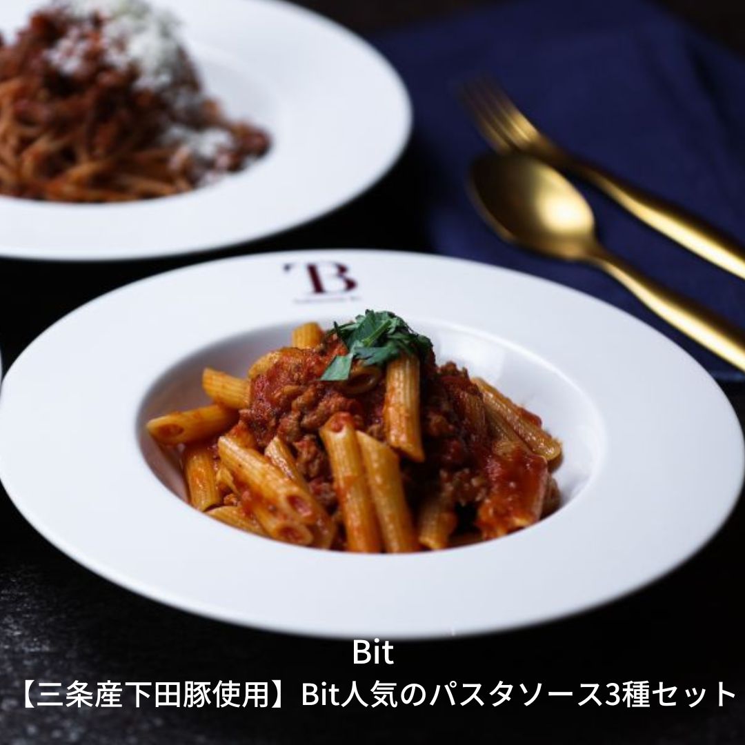 【ふるさと納税】三条産下田豚使用 Bit人気のパスタソース3種セット アラビアータ ボロネーゼ 渡り蟹のトマトクリーム スパゲッティ 湯煎 パウチ包装 [燕三条Bit]【020S025】のサムネイル