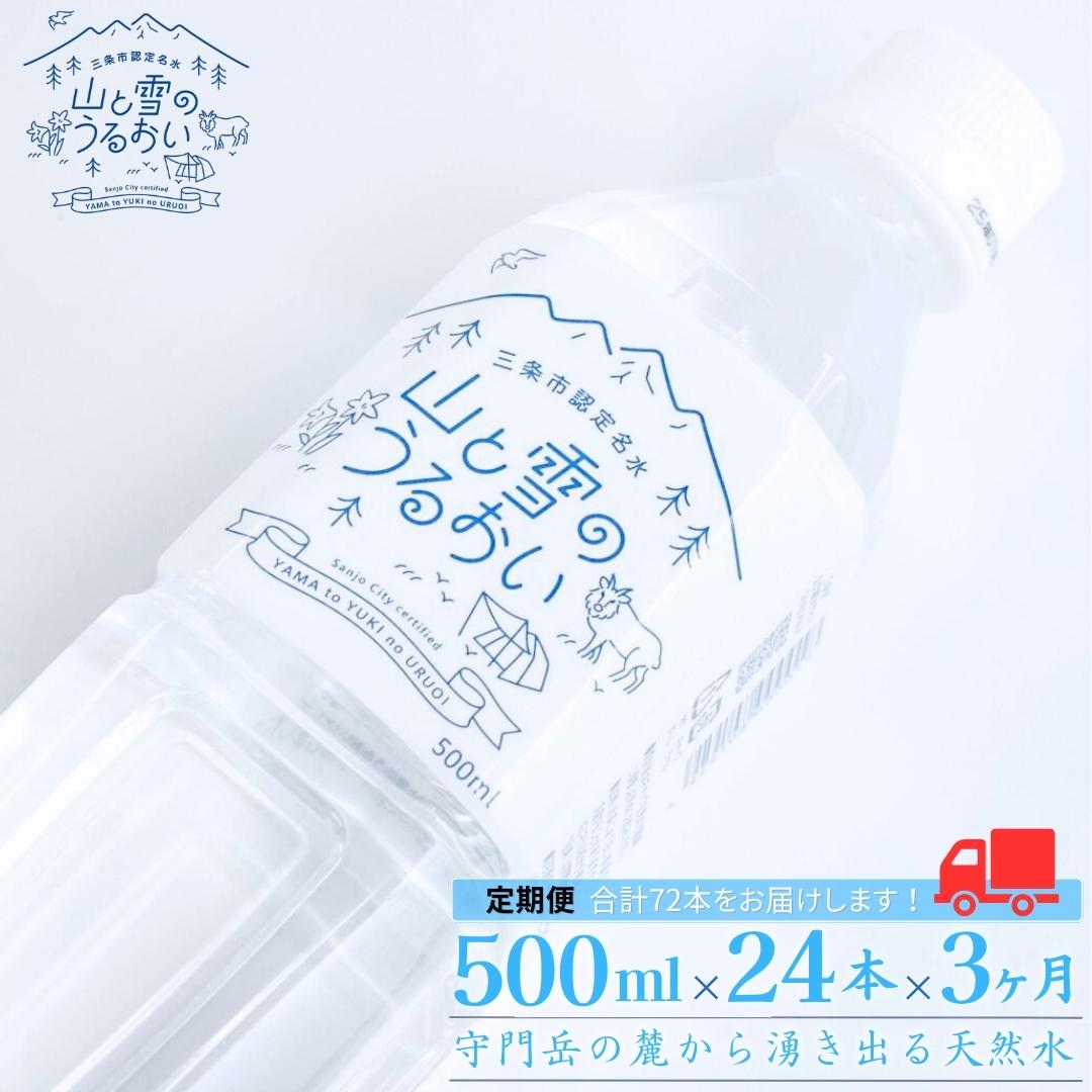 【ふるさと納税】[定期便500ml×24本×3か月]ナチュラルミネラルウォーター 計500ml×72本 3か月連続でお...