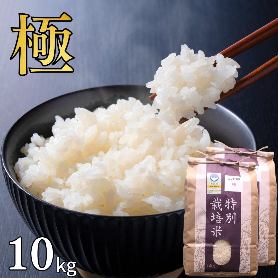【ふるさと納税】特別栽培米 コシヒカリ 「極」 10kg (