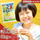 7位! 口コミ数「0件」評価「0」[定期便5kg×3ヶ月] コシヒカリ 新潟県三条市下田産 こしひかり 計15kg 令和5年産米 3か月（3ヵ月）連続でお届け【021S003･･･ 