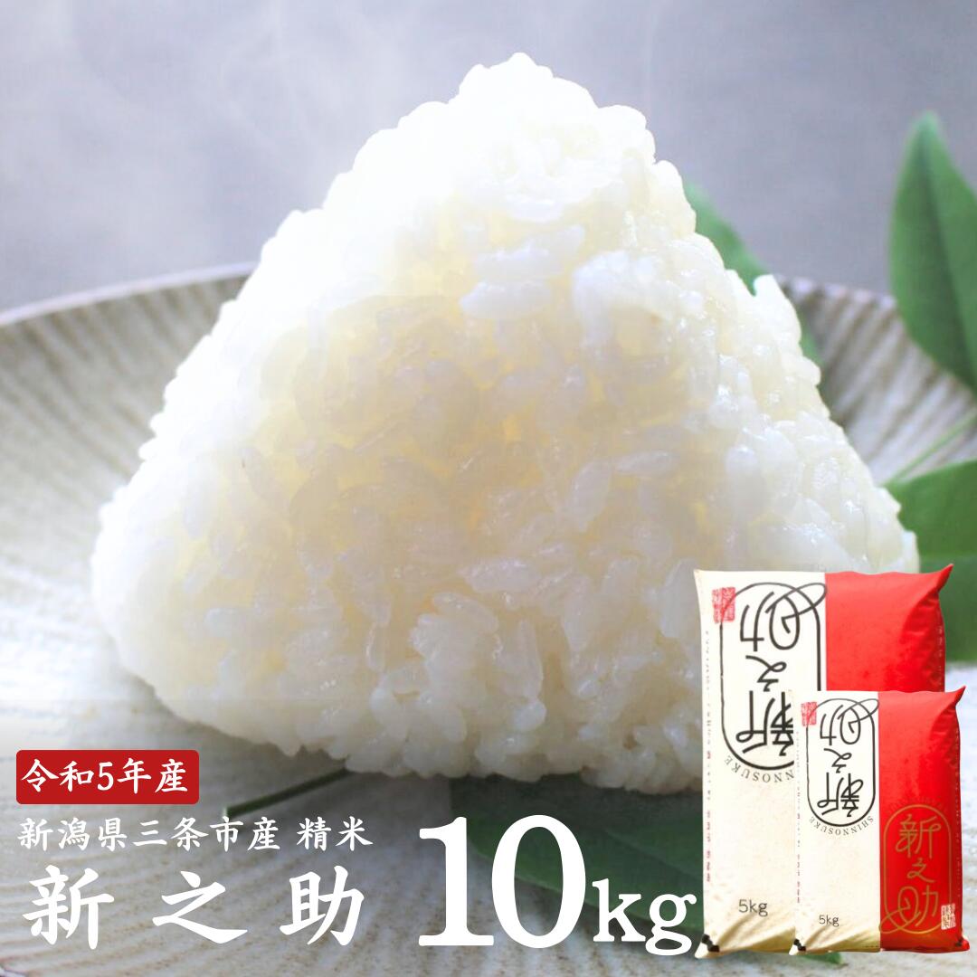 新之助 10kg(5kg×2袋) 新潟県三条市産 [外山敏雄商店]【020S037】