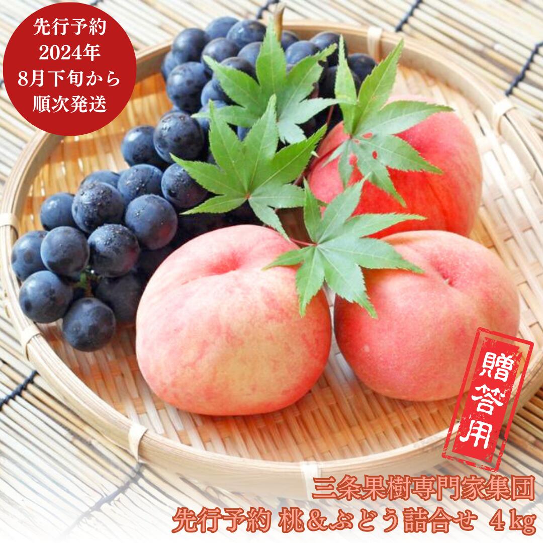 【ふるさと納税】先行予約 季節の桃&ぶどう詰合せ 約4kg [2024年発送分] 令和6年度 桃（日の出 あかつき なつっこ 川中島白桃 あきぞら 白根白桃 黄金桃） ぶどう（巨峰 シャインマスカット ロザリオビアンコ セキレイ）贈答用 三条市産 [三条果樹専門家集団]【038P006】