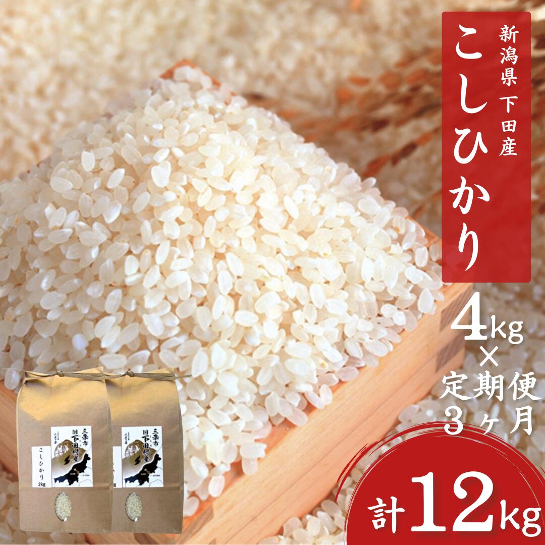 [定期便] 新潟県三条市下田産こしひかり 4kg(2kg×2)×3回 コシヒカリ 精米 白米 三条市下田産コシヒカリ