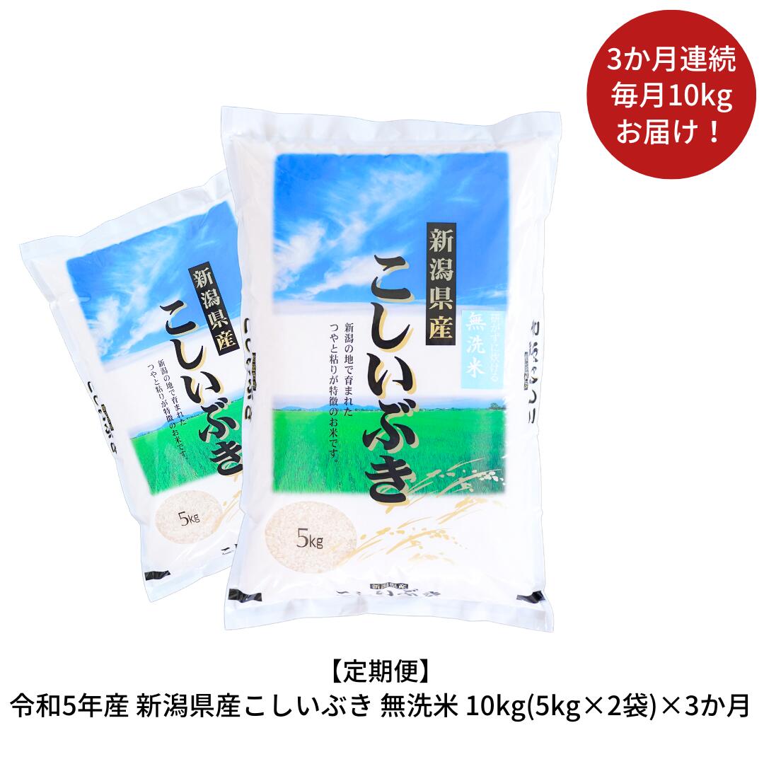 【ふるさと納税】 [定期便10kg×3ヶ月] 令和5年産 無洗米 新潟県産こしいぶき 10kg 3か月（3ヵ月）連続でお届け [株式会社白熊]【034S004】