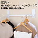 【ふるさと納税】石膏ボード用固定金具 Miseluハンガー 75白・フック2本、MG付 壁美人 壁掛けホルダー ホッチキス 簡単 おしゃれ 一時置き 玄関 【037S036】
