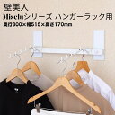 【ふるさと納税】石膏ボード用固定金具 Miseluハンガー 50白・フック2本、MG付 壁美人 壁掛けホルダー ホッチキス 簡単 おしゃれ 一時置き 玄関 【036S016】
