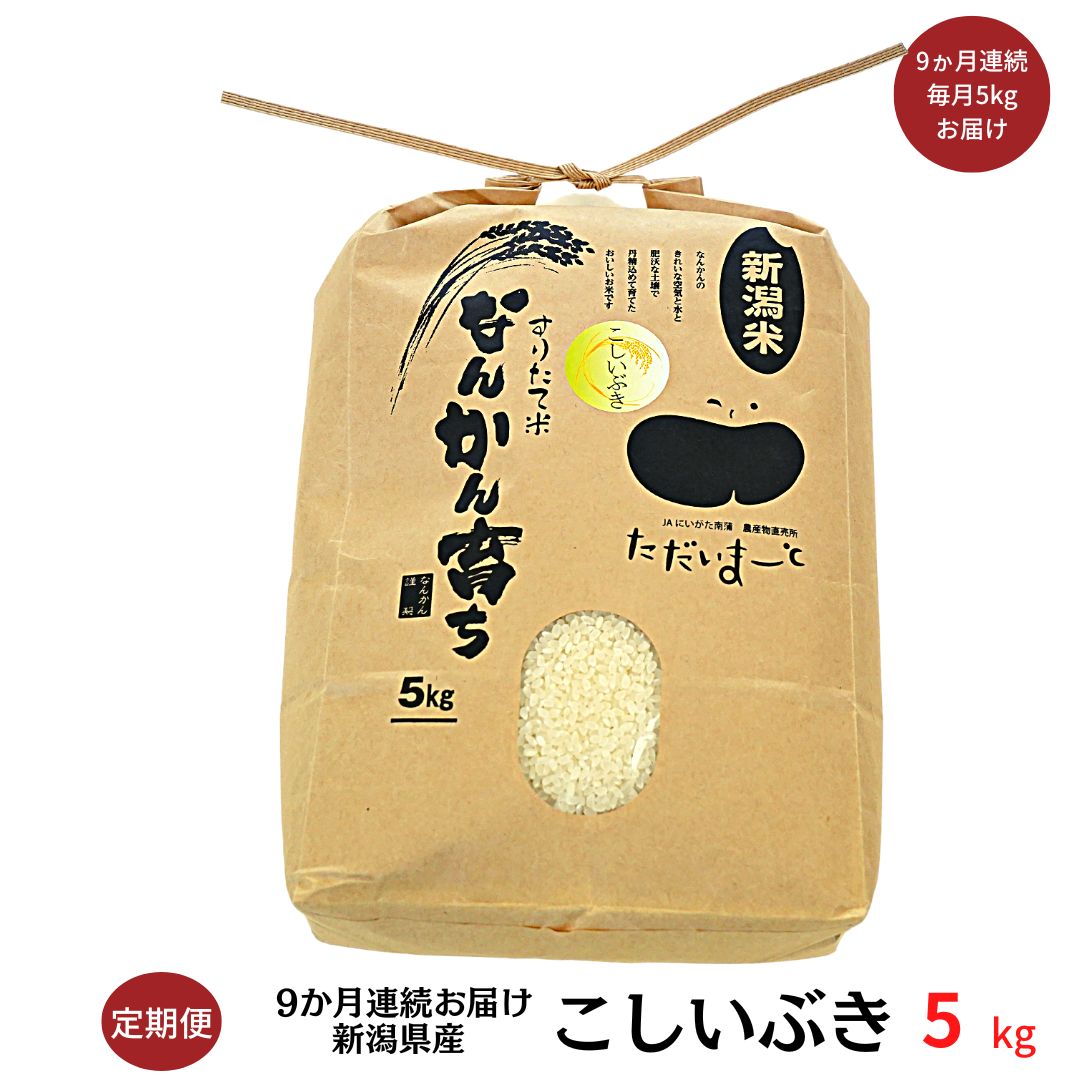 【ふるさと納税】[定期便 5kg×9か月] 新米 こしいぶき 5kg 新潟県産 令和4年産米 9か月連続でお届け 【056S001】