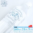 【ふるさと納税】[定期便500ml×24本×9か月]ナチュラルミネラルウォーター 計500ml×216本 9か月連続でお届け 山と雪のうるおい 軟水 天然水 湧水 ミネラルウォーター 防災用品 防災グッズ 【059S011】