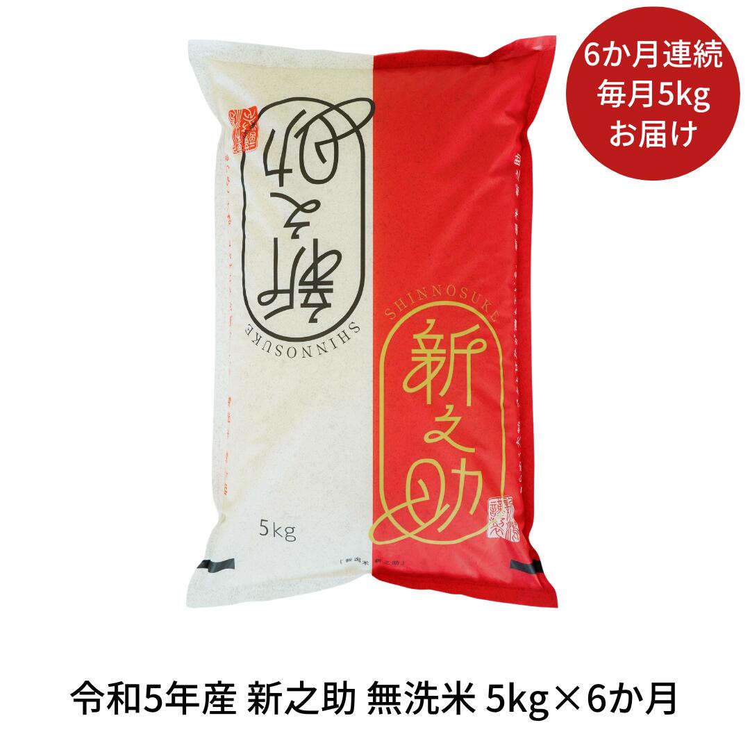 【ふるさと納税】新米 [定期便5kg×6か月] 新潟県産 無洗米 新之助 計30kg 6か月連続でお届け 令和5年産 しんのすけ [株式会社白熊]【060S009】･･･