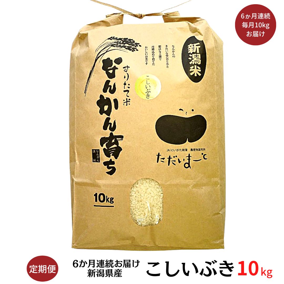 【ふるさと納税】[定期便 10kg×6か月] 新米 こしいぶき 10kg 新潟県産 令和4年産米 6か月連続でお届け 【072S002】