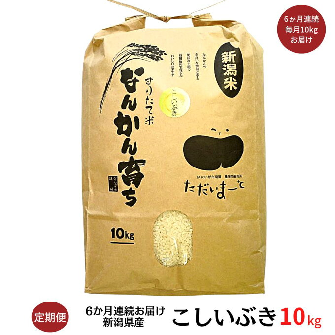 【ふるさと納税】[定期便 10kg×6か月] 新米 こしいぶき 10kg 新潟県産 ...