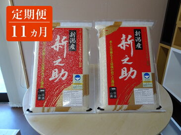 【ふるさと納税】 定期便11ヵ月 新潟県特別栽培 農産物認証 新之助 白米 真空パック 毎月5kg×2袋お届け 【 新潟県 柏崎市 】