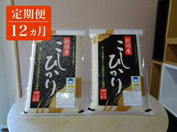 【ふるさと納税】 定期便12ヵ月 新潟県 特別栽培 農産物認証 コシヒカリ 白米 真空パック 毎月5kg×2袋お届け 【 新潟県 柏崎市 】