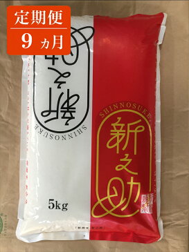 【ふるさと納税】定期便 9ヵ月 特別栽培 柏崎産 新之助 毎月5kg×2袋お届け 【 白米 新潟県 柏崎市 】