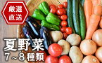 【ふるさと納税】【先行予約】産地直送！やたらうんめぇ 夏野菜セット 水田環境鑑定士在籍【数量・期間限定】【 新潟県 柏崎市 】