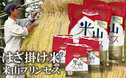 【令和5年産米】上野さんちの有機100％肥料で栽培・はざ掛け（天日干し）新潟産最上級コシヒカリ「米山プリンセス」白米 4.9kg（2kg×2袋、300g×3袋）【お米 米 新潟県 柏崎市 】