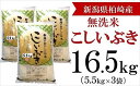 【ふるさと納税】【令和5年産米】柏崎産 こしいぶき 無洗米 