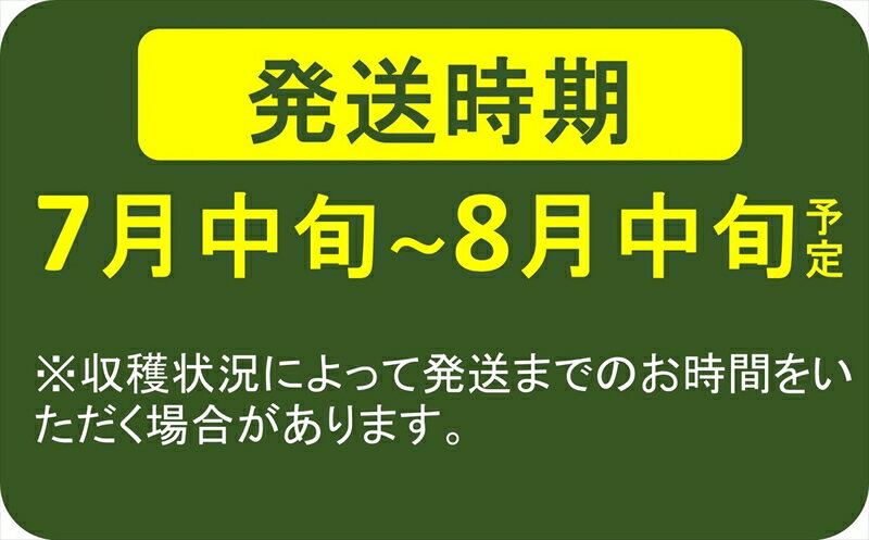 【ふるさと納税】【先行予約】大粒・風味豊かな枝豆！柏崎の早生茶豆「越後はちこく茶豆」 1kg（250g×4袋）【期間・数量限定】【 新潟県 柏崎市 】