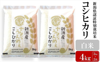 【令和5年産米】ヤタらうんめぇ コシヒカリ 白米 4kg（2kg×2袋）水田環境鑑定士在籍【 新潟県 柏崎市 】