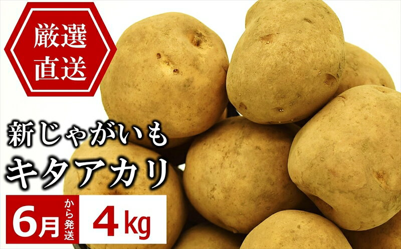 【ふるさと納税】今が旬！産地直送 やたらうんめぇ じゃがいも キタアカリ 4kg 水田環境鑑定士在籍【 ..