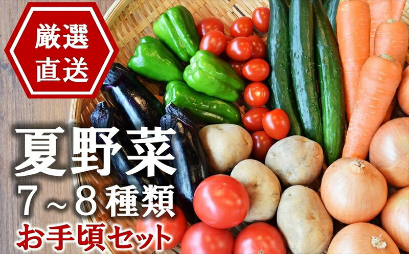 15位! 口コミ数「1件」評価「5」【先行予約】産地直送！やたらうんめぇ 夏野菜 お手頃セット 水田環境鑑定士在籍【数量・期間限定】【 新潟県 柏崎市 】