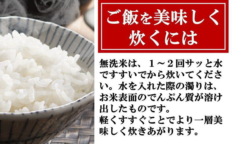 【ふるさと納税】【令和5年産米】おいしいね 厳選 新潟県認証特別栽培米 コシヒカリ 無洗米 5kg【 お米 新潟県 柏崎市 】