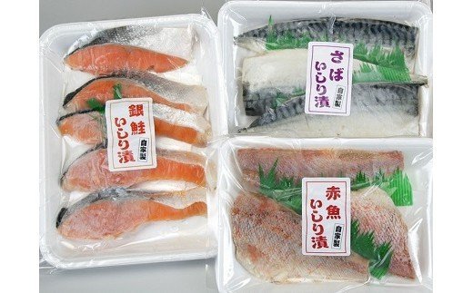 【ふるさと納税】自家製一夜干し 海鮮いしり漬 3種セット（銀鮭・赤魚・サバ） 海の幸特集【 新潟県 柏崎市 】