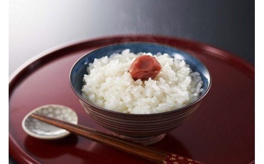 【ふるさと納税】無洗米コシヒカリ・無洗米ミルキークィーンセット（各2kg）【米 お米 新潟県 柏崎市 】