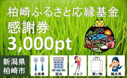 柏崎ふるさと応縁基金感謝券（3,000pt）【 新潟県 柏崎市 】