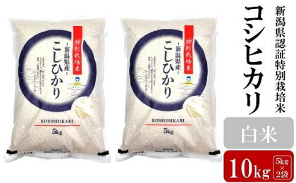 【令和5年産米】新潟県認証特別栽培米 コシヒカリ 白米 10kg（5kg×2袋）【 新潟県 柏崎市 】