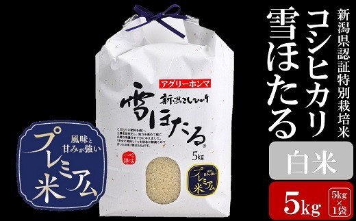 [令和5年産米]甘味の強いプレミアム米 新潟県認証特別栽培米 コシヒカリ 白米 5kg[ 新潟県 柏崎市 ]