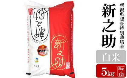 【令和5年産米】新潟県認証特別栽培米 新之助 白米 5kg【 新潟県 柏崎市 】