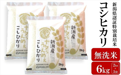 【令和5年産米】ヤタらうんめぇ コシヒカリ 無洗米 6kg（2kg×3袋）水田環境鑑定士在籍【 新潟県 柏崎市 】